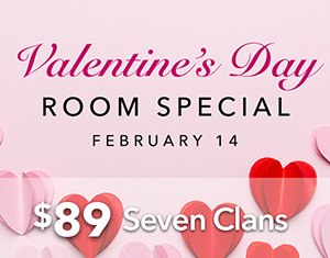 Valentine's Day Room Special