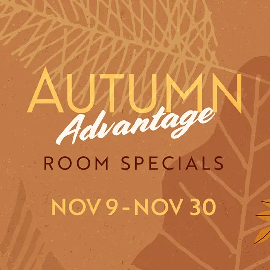 Autumn Advantage Room Specials